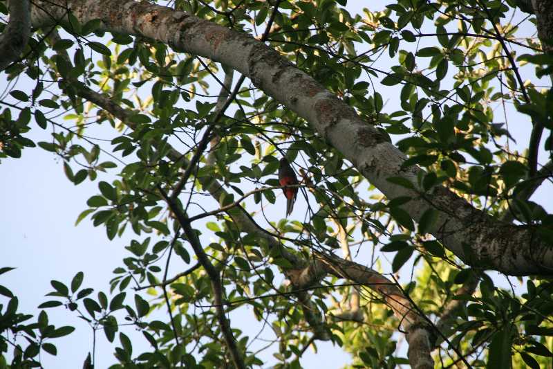 Mexico & Guatemala 2010 - 1049